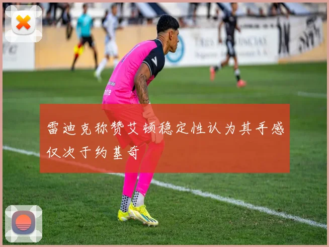 雷迪克称赞艾顿稳定性认为其手感仅次于约基奇
