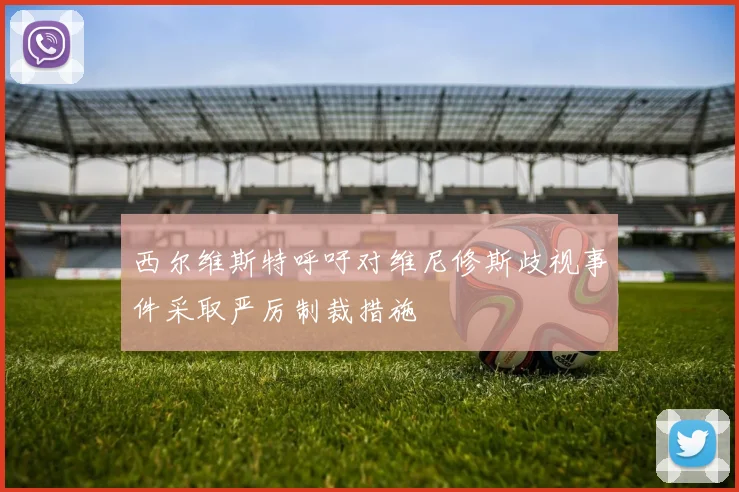 西尔维斯特呼吁对维尼修斯歧视事件采取严厉制裁措施