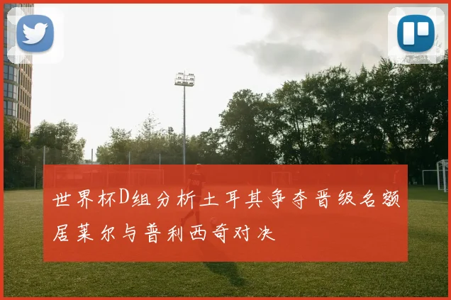 世界杯D组分析土耳其争夺晋级名额居莱尔与普利西奇对决