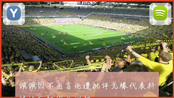 佩佩因不当言论遭批评无缘代表科特迪瓦征战非洲杯